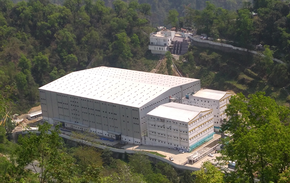 sikkim_plant01